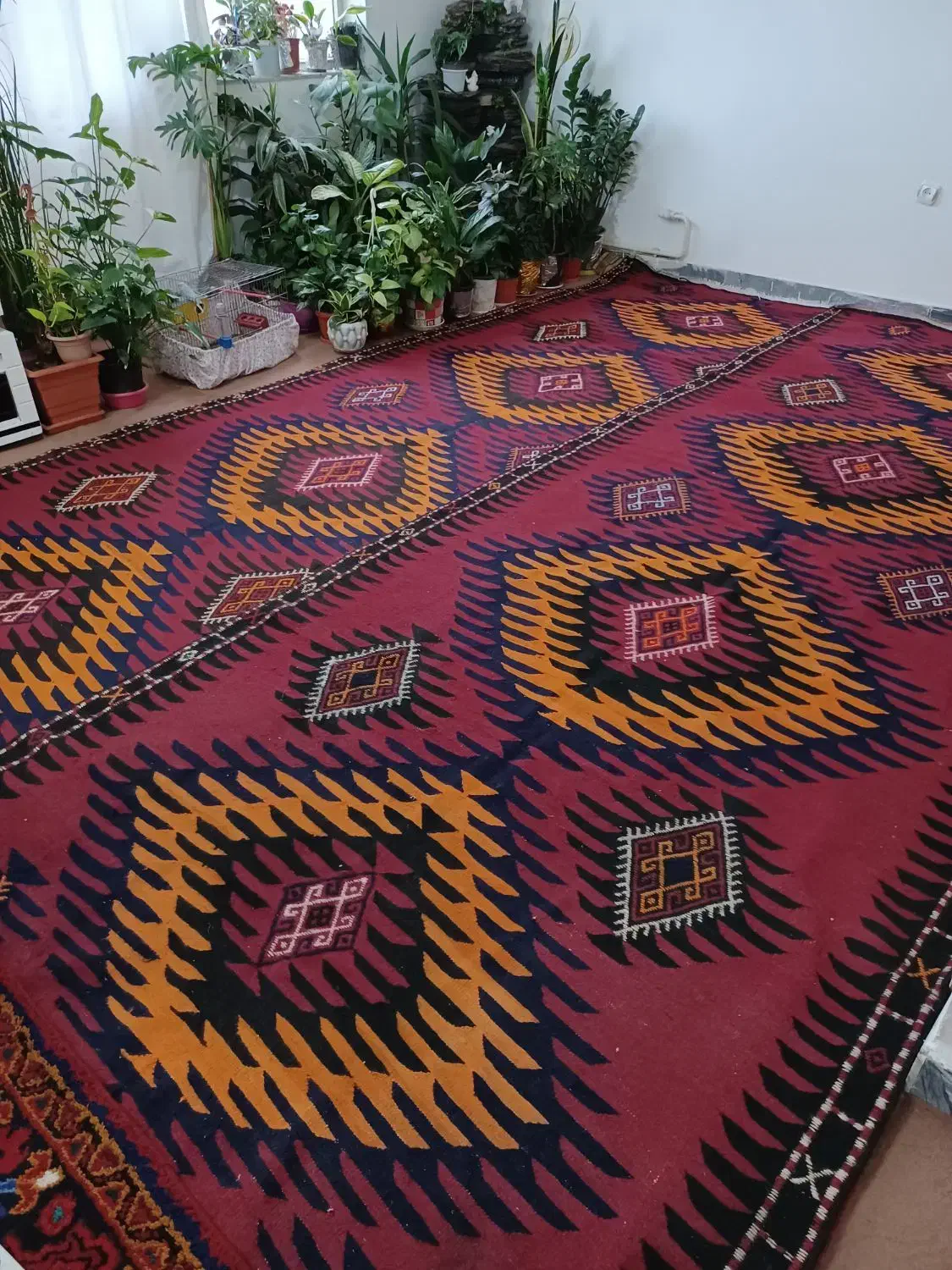 گلیم دستبافت گیاهی قدیمی|گلیم، جاجیم، گبه|تهران, ترمینال غرب|دیوار