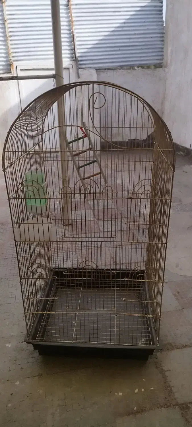 قفس پرنده|لوازم جانبی حیوانات|مشهد, تلگرد|دیوار