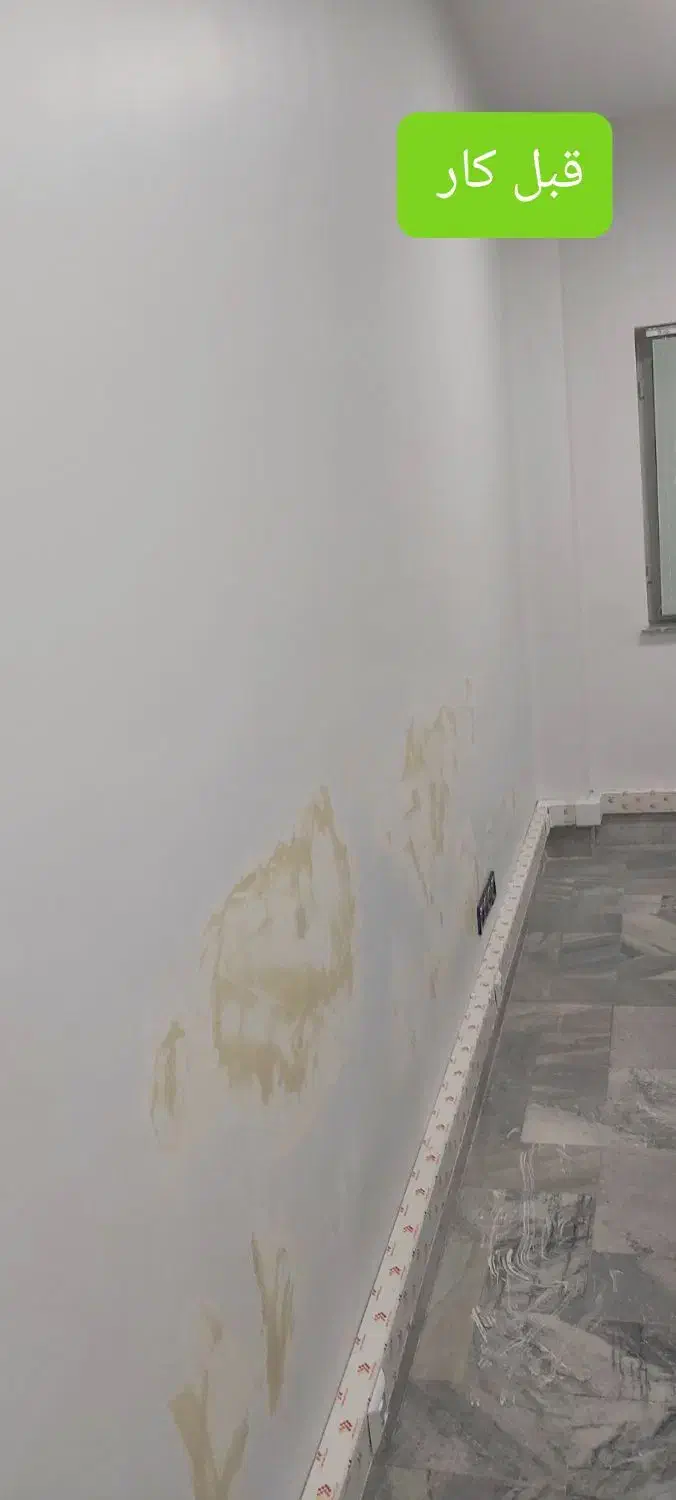 نقاشی ساختمان|خدمات پیشه و مهارت|آشخانه, |دیوار