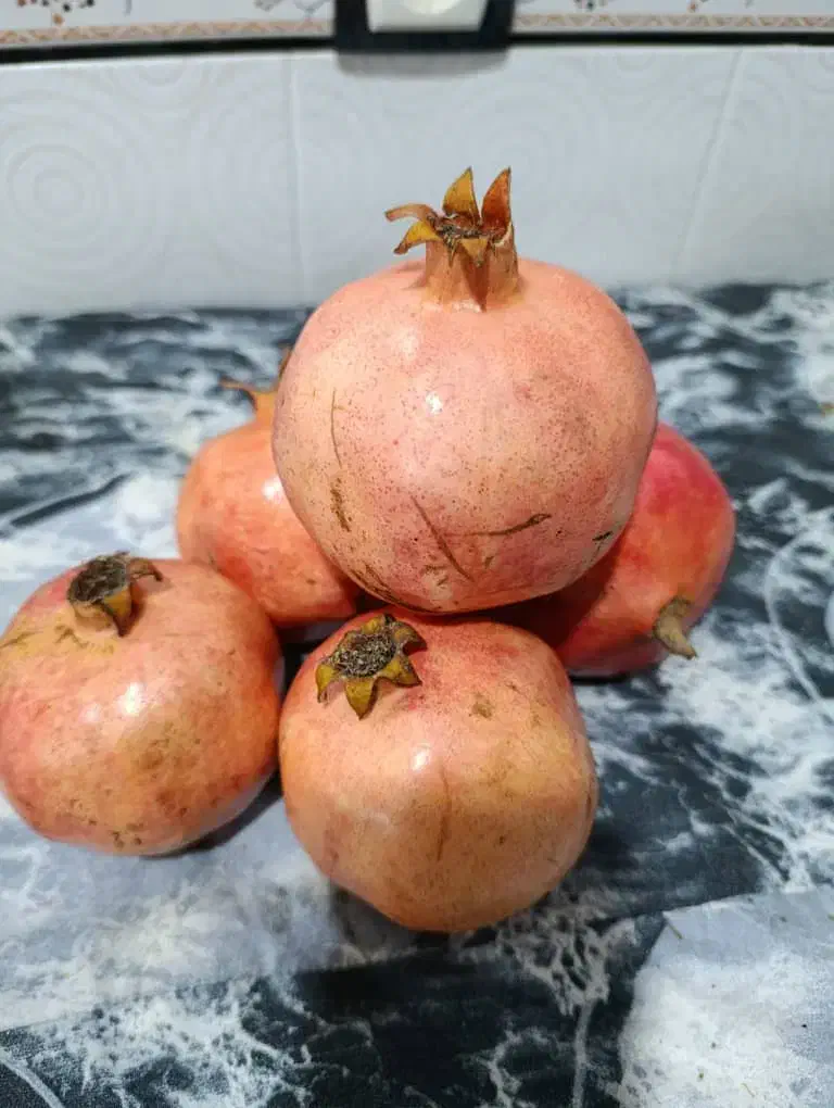 انار|گل و گیاه طبیعی|فورگ, |دیوار