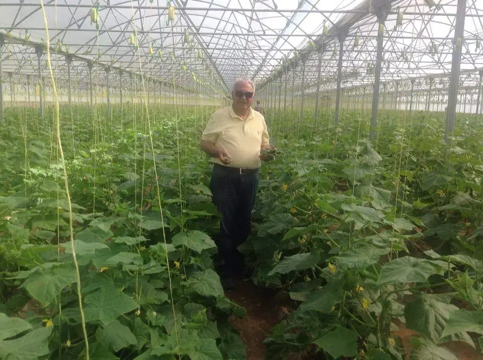 فروش گلخانه مدرن صنعتی تمام اتوماتیک|فروش دفتر صنعتی، کشاورزی، تجاری|آذرشهر, |دیوار