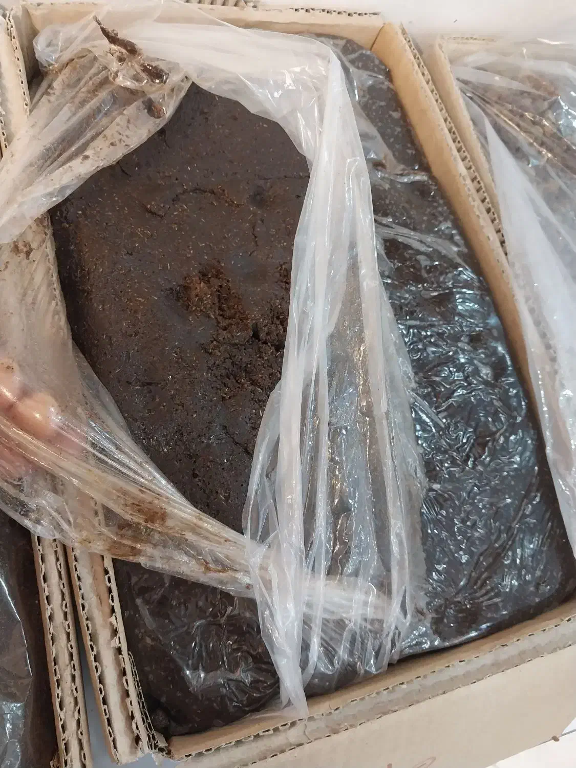 کشمش و میز|خوردنی و آشامیدنی|کرمان, |دیوار