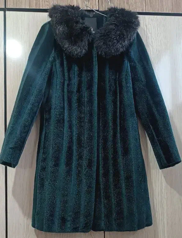 پالتو.|لباس|مرند, |دیوار