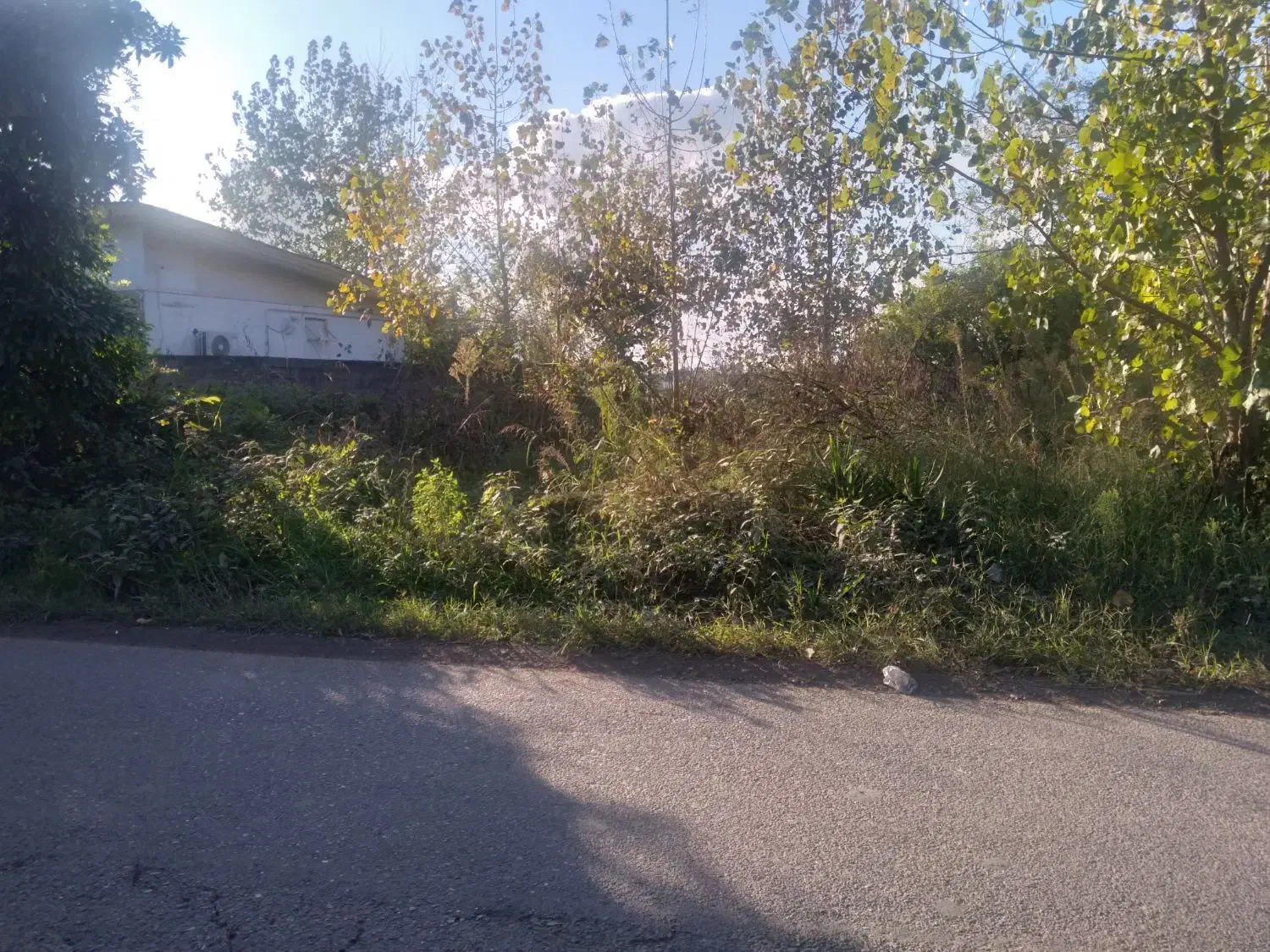 کلنگی ۲۴۸ متری با کنتور آب و برق اطراف کوچصفهان|فروش خانه و ویلا|رشت, بلوار گیلان|دیوار