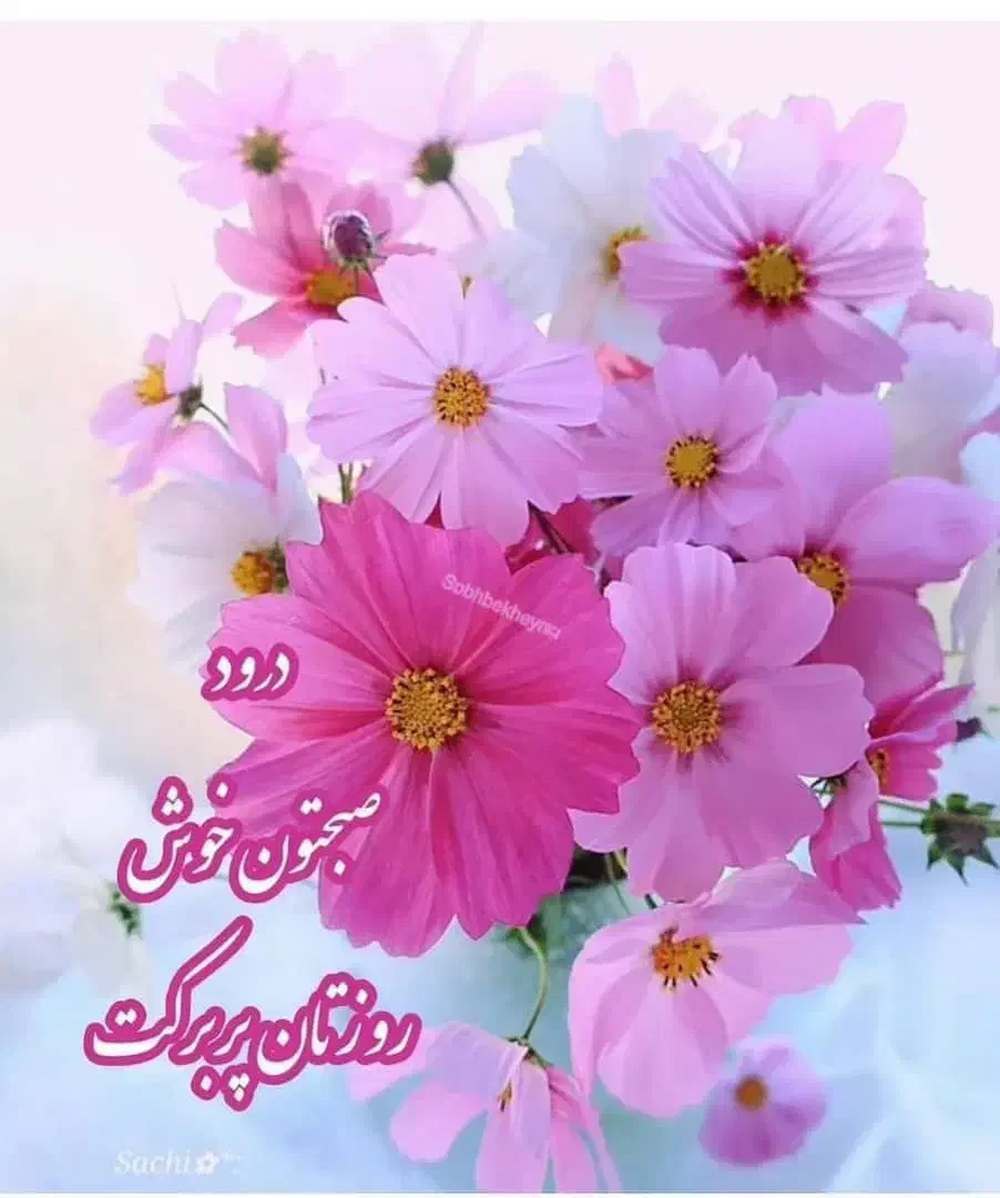 راهنمایی کار تولیدی|فعالیت داوطلبانه|یزد, |دیوار