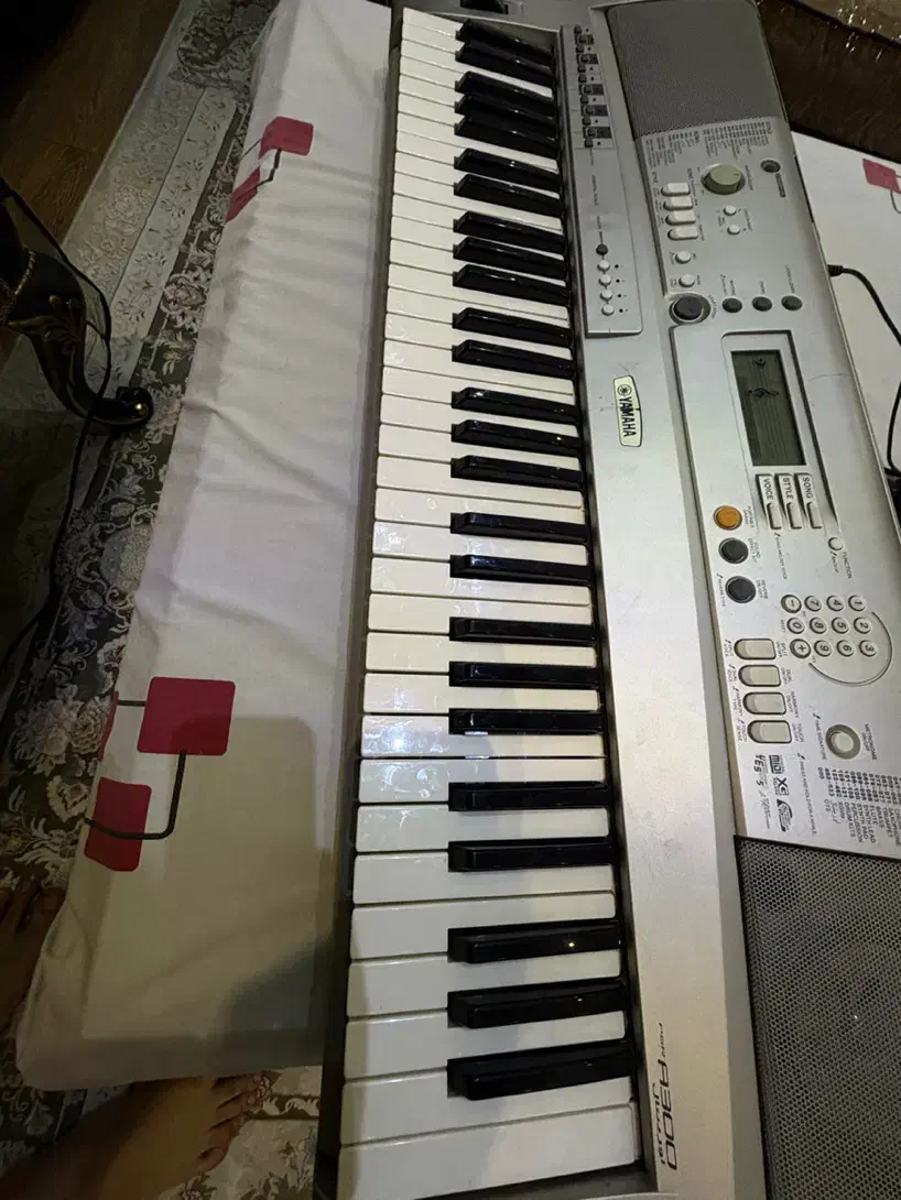 ارگ یاماها|پیانو، کیبورد، آکاردئون|قزوین, |دیوار