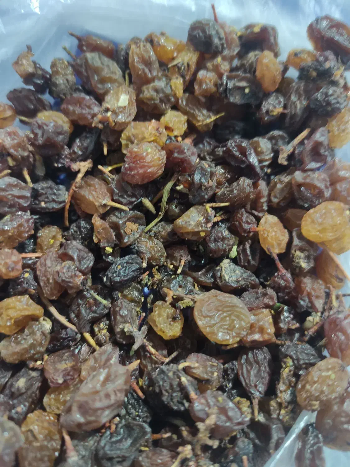 کشمش مانی|خوردنی و آشامیدنی|تاکستان, |دیوار
