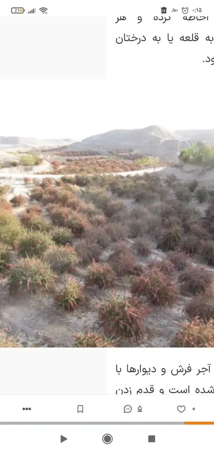 خشکبار الیاس اسماعیلی|خوردنی و آشامیدنی|راسک, |دیوار