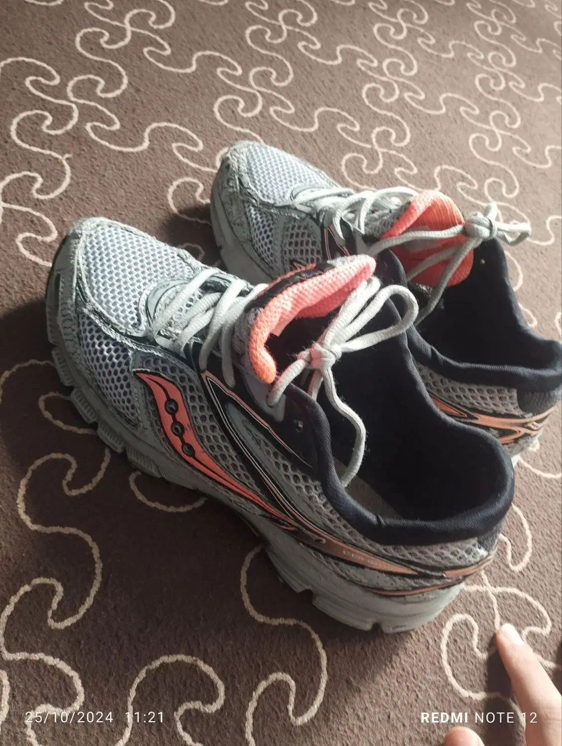 ساکنی.ساکونی اصل|کیف، کفش، کمربند|قم, ولیعصر|دیوار