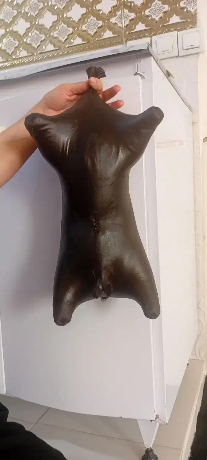 خیگه|لوازم جانبی حیوانات|سرپل ذهاب, |دیوار