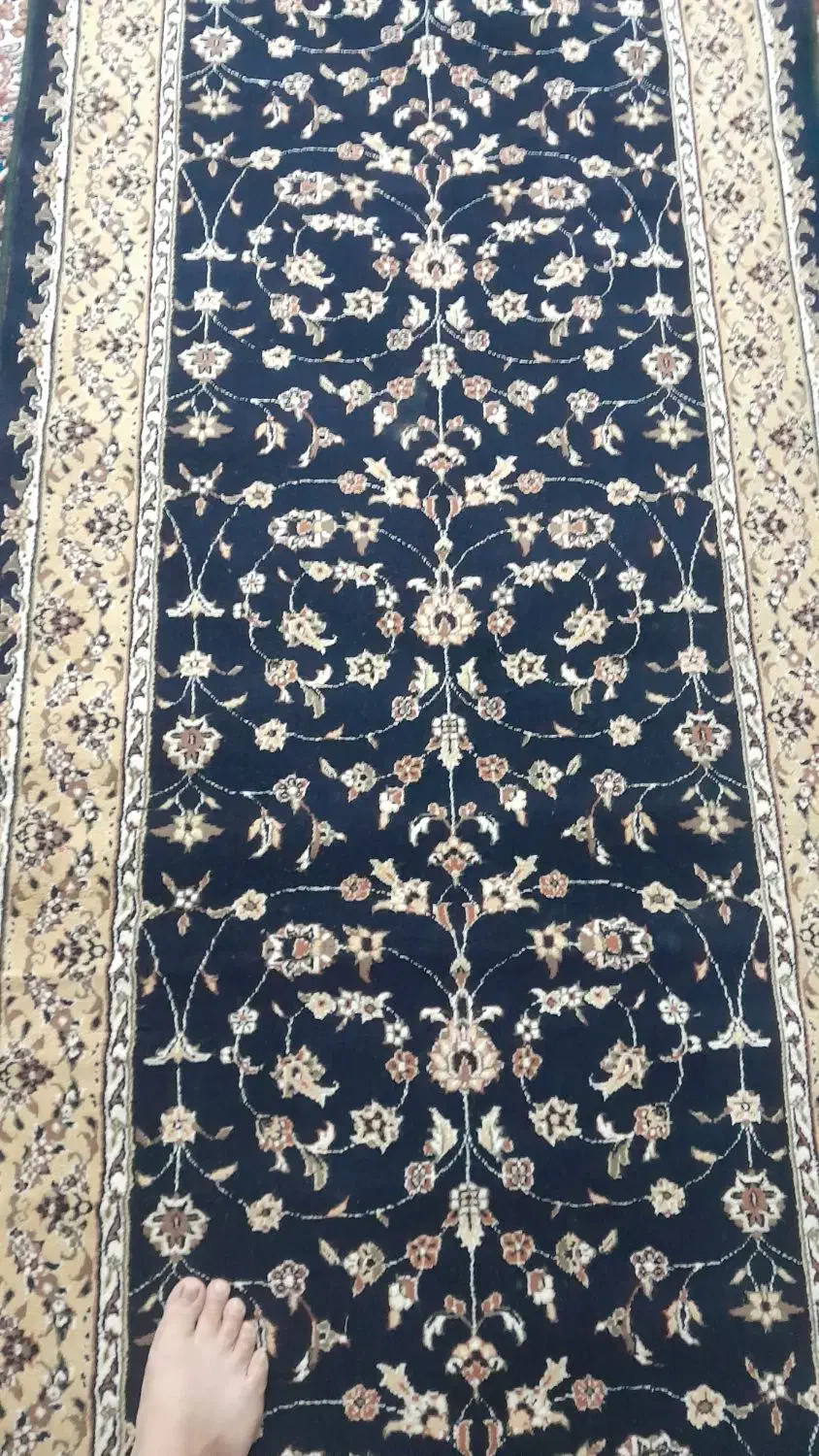 کناره قالینی سالم|فرش|تربت جام, معدآباد|دیوار