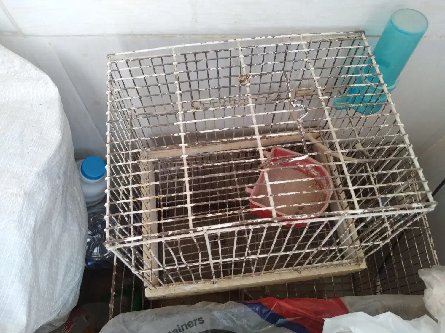 قفس پرنده|لوازم جانبی حیوانات|شیراز, شاه قلی بیگی|دیوار