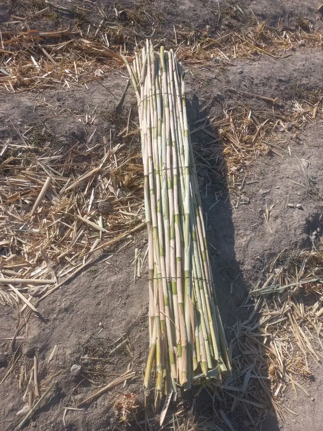 چیت|روفرشی|سیوان, |دیوار