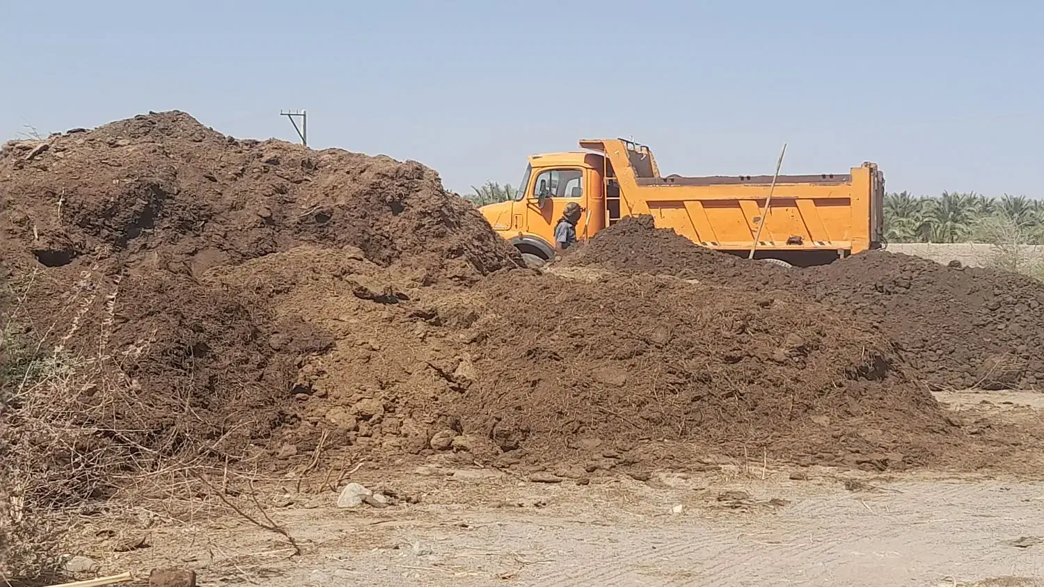 خاک.گاو.خالص‌‌هسته‌خاگ‌با‌گوسفند|خدمات باغبانی و درختکاری|نرماشیر, |دیوار