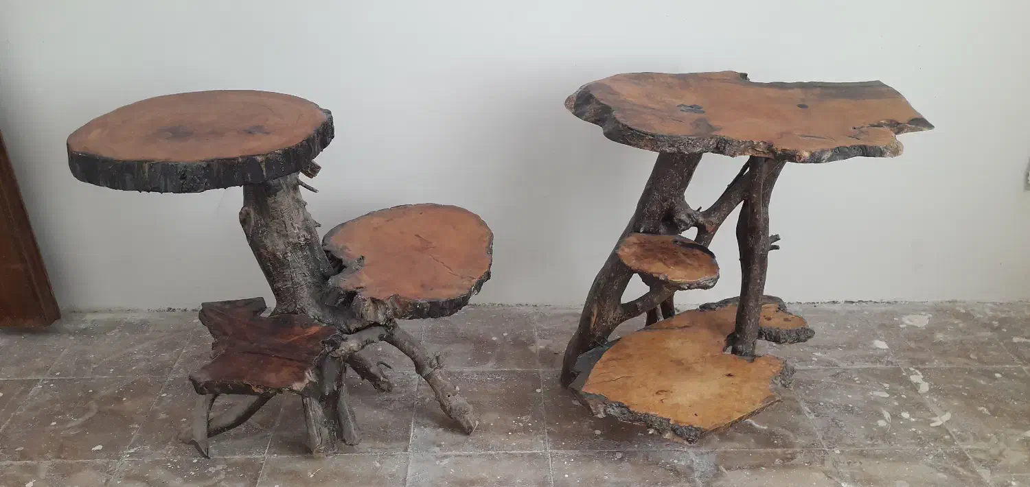 فروش دو عدد میز چوبی|مبلمان خانگی و میز عسلی|سبزوار, ولیعصر (نجار آباد)|دیوار