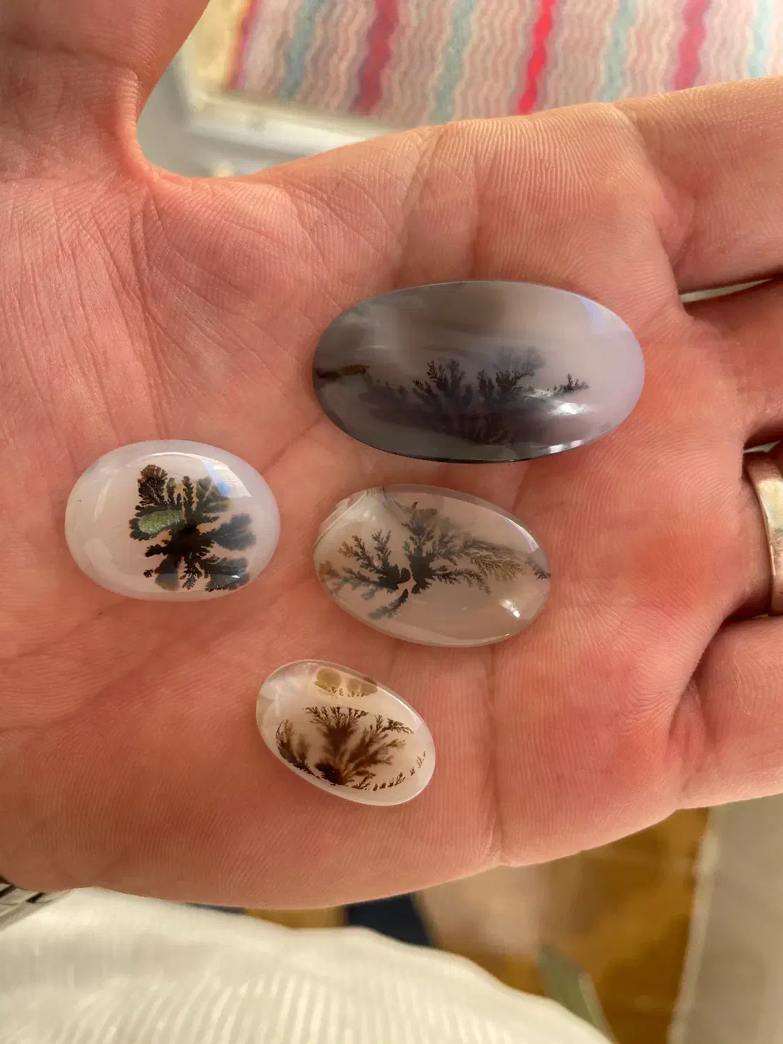 سنگ انگشتر شجر قائن کلکسیونی،عتیقه،باب طلا،معاوضه|جواهرات|تهران, تهرانسر شرقی|دیوار