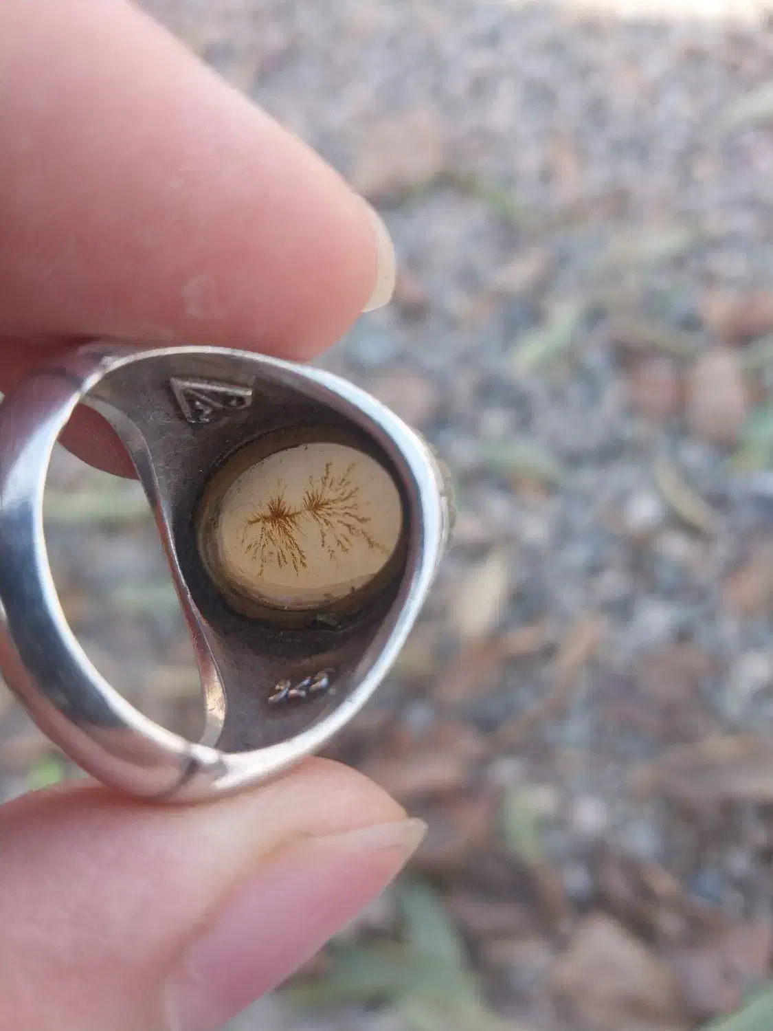 انگشتر نقره مردانه|جواهرات|بناب, |دیوار