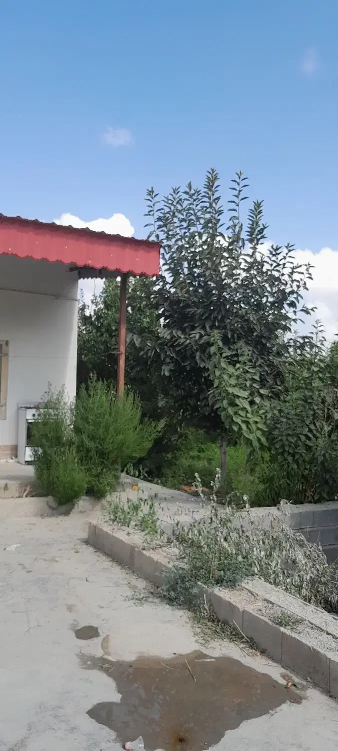 حونه باغ ویلایی|فروش خانه و ویلا|آشخانه, |دیوار