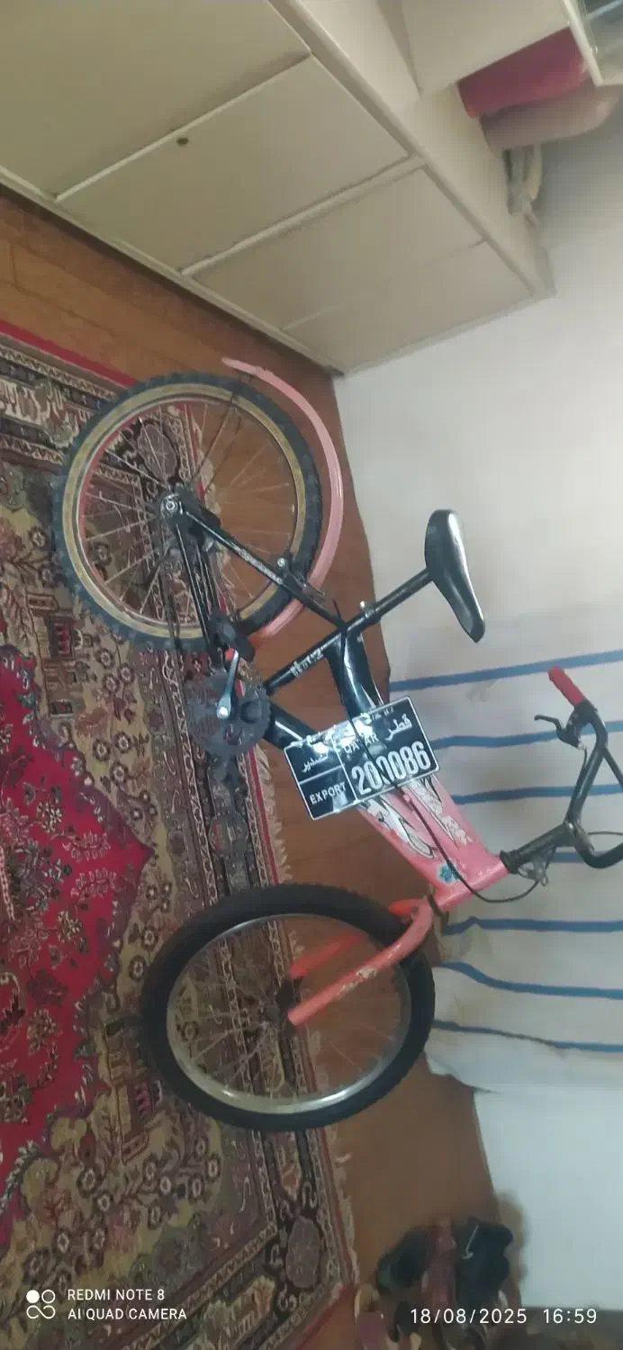 دوچرخه|دوچرخه، اسکیت، اسکوتر|فولادشهر, B5|دیوار