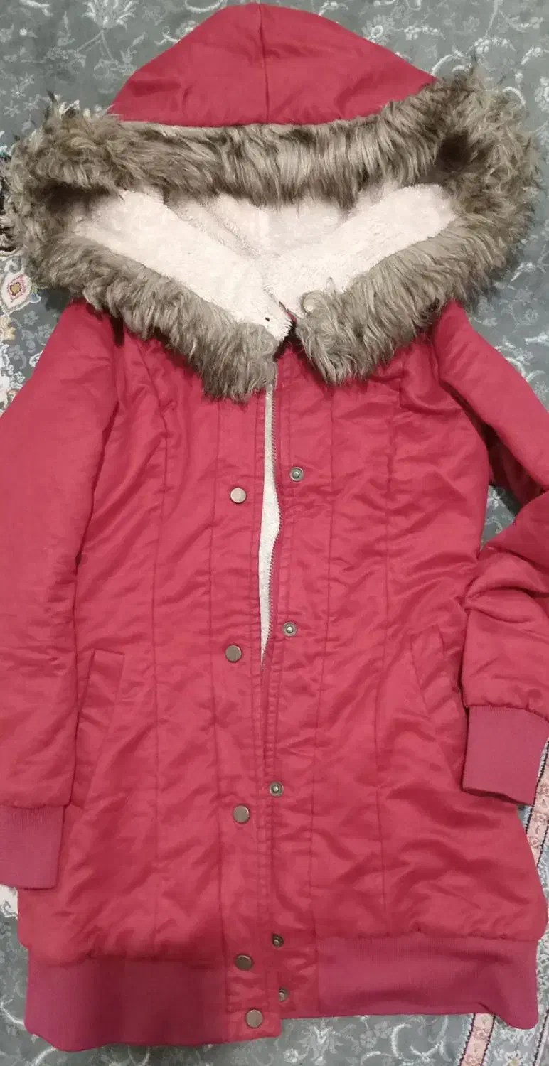 انواع پالتو و بارانی|لباس|گرگان, |دیوار