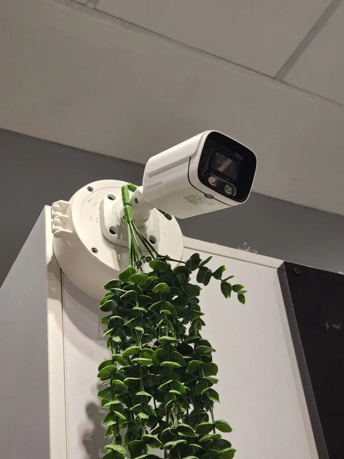 ۲عدد دوربین مداربسته|دوربین مداربسته|جویبار, |دیوار