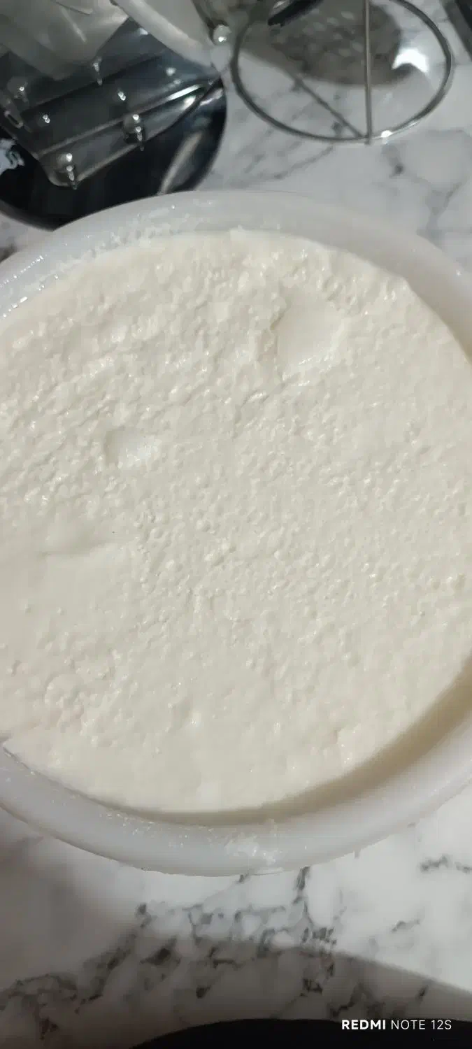 ماست بز|خوردنی و آشامیدنی|بهبهان, |دیوار