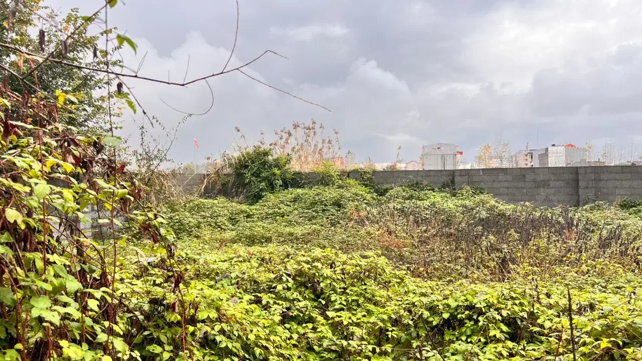 فروش زمین ۲۹۴ متری|فروش زمین و ملک کلنگی|رشت, خرسندی|دیوار