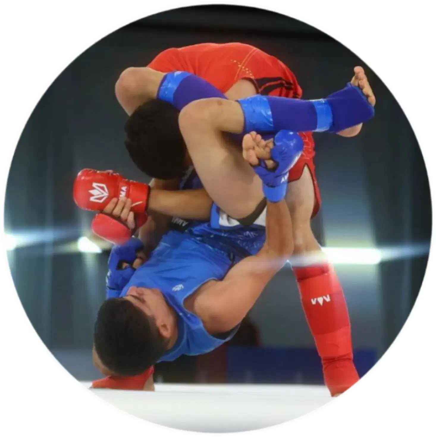 آکادمی تخصصی هنرهای رزمی|خدمات آموزشی|بیرجند, |دیوار