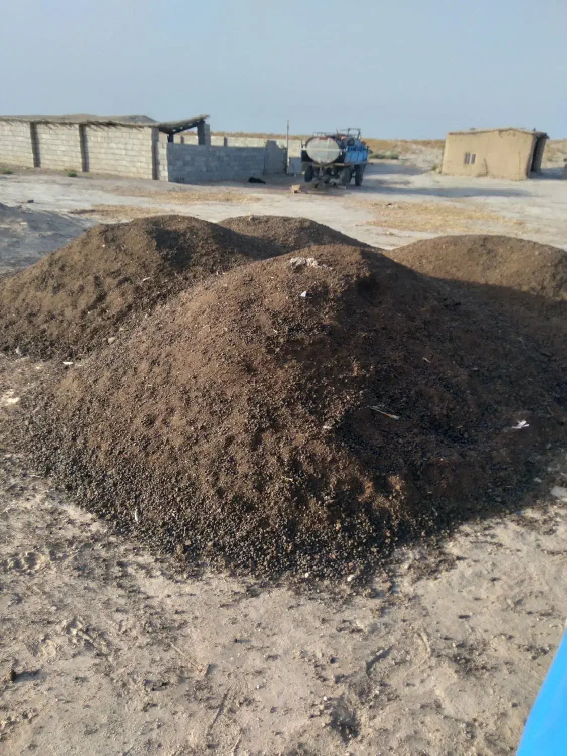 کود گوسفندی|خدمات باغبانی و درختکاری|ساری, |دیوار