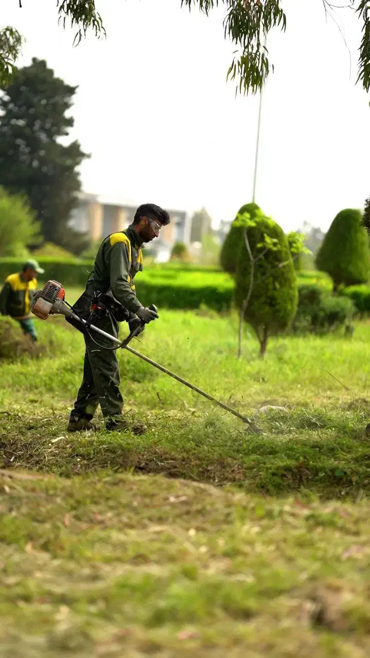 علف تراشی باغ|خدمات باغبانی و درختکاری|رامسر, |دیوار