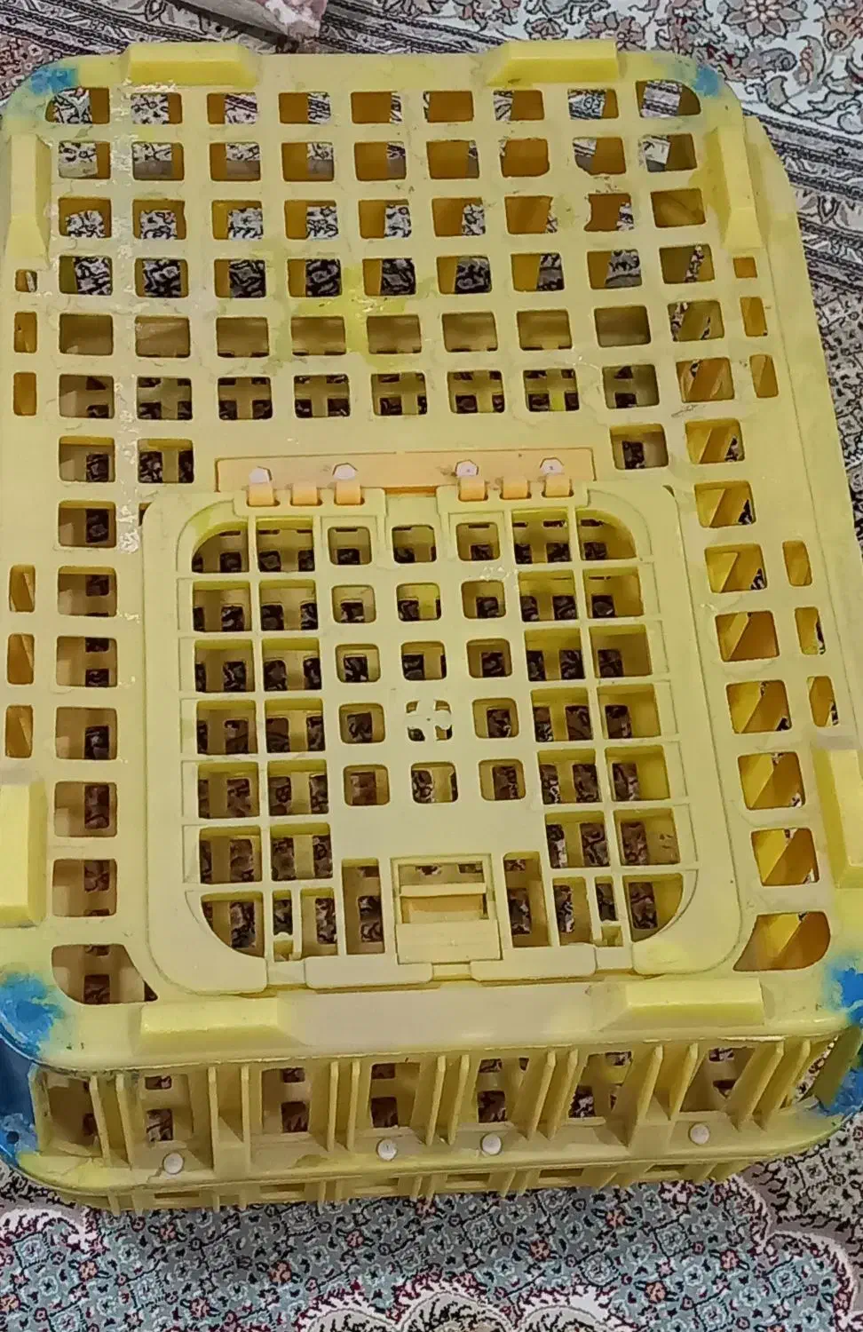 قفسهایمرغ|لوازم جانبی حیوانات|دیواندره, |دیوار