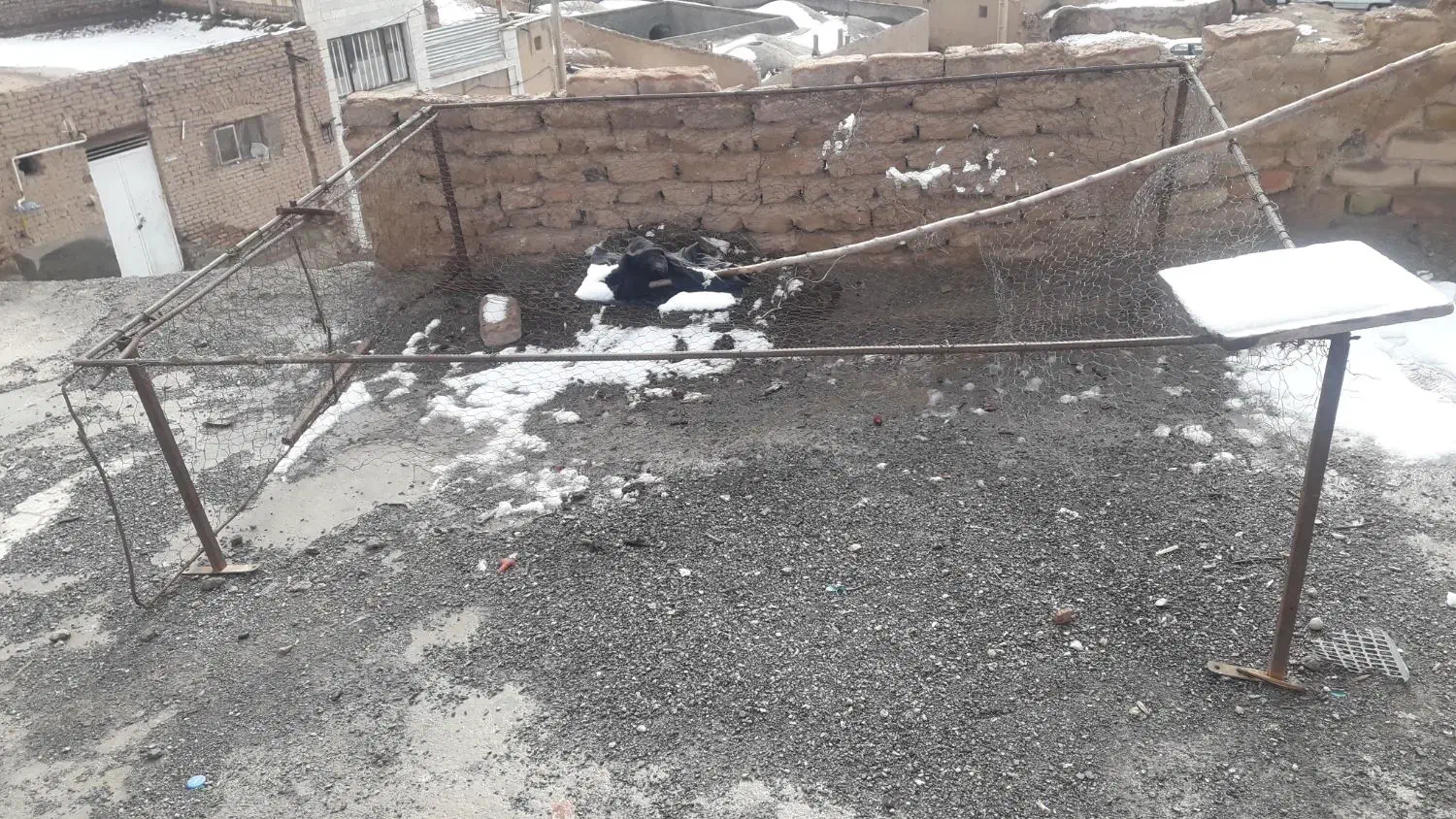 قفس|لوازم جانبی حیوانات|بیرجند, |دیوار