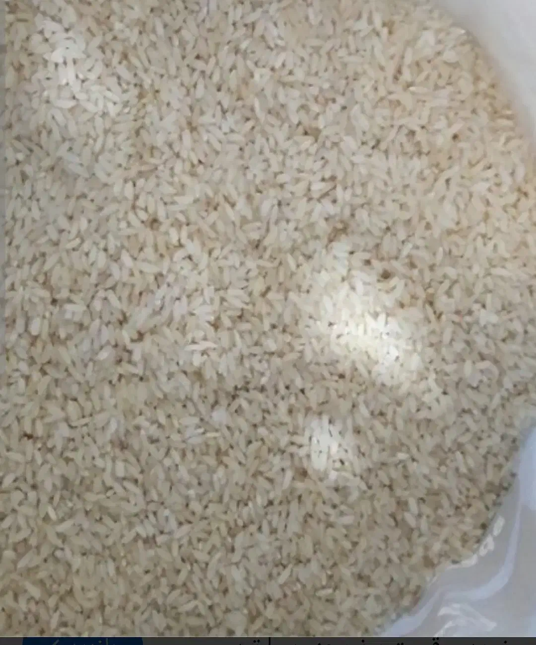 برنج عنبر بو دره شهر|خوردنی و آشامیدنی|دره شهر, |دیوار