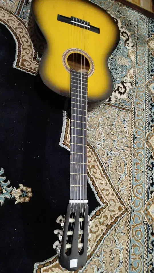 گیتار|گیتار، بیس، امپلیفایر|شیراز, گویم|دیوار