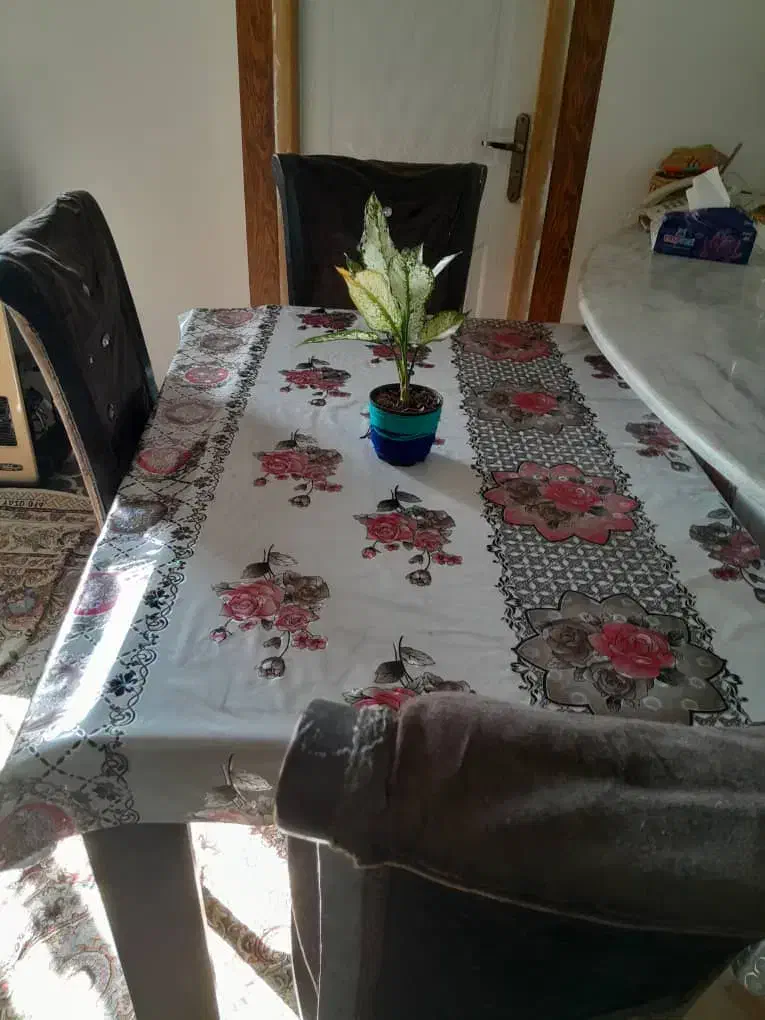 میز ناهارخوری|میز و صندلی غذاخوری|رودسر, |دیوار