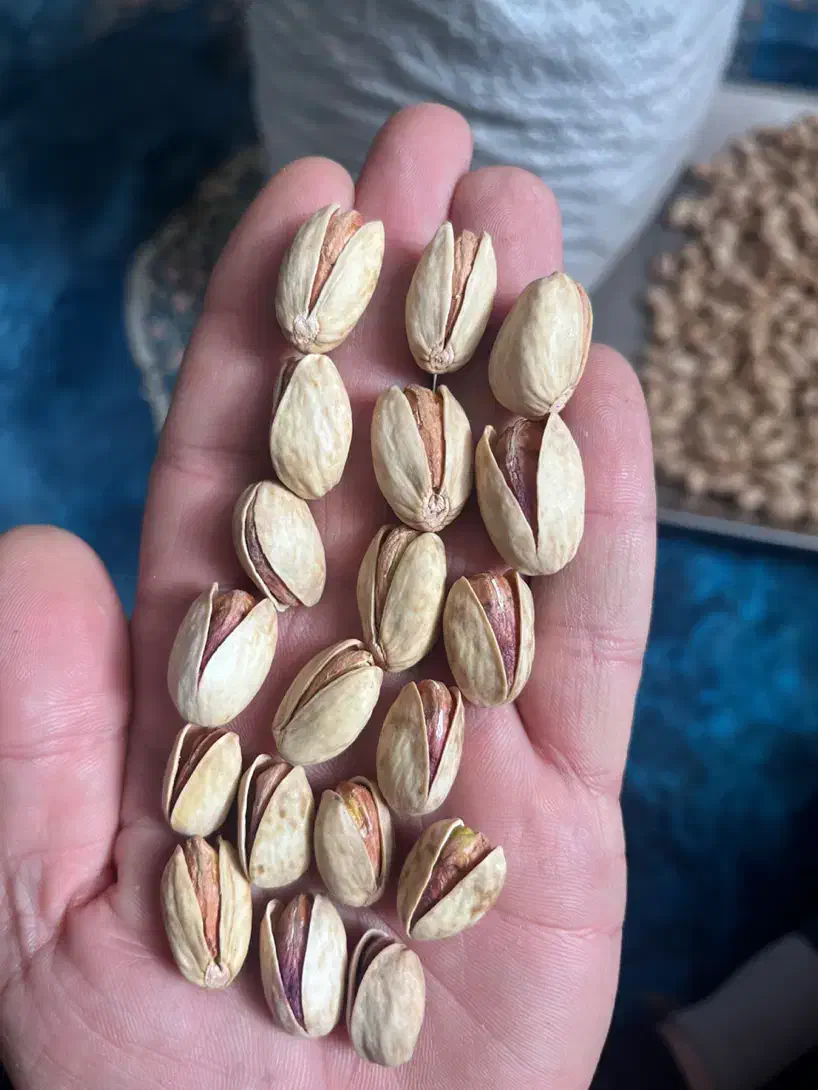 پسته لوکس و درشت دست چین|خوردنی و آشامیدنی|ری, هاشم‌آباد|دیوار