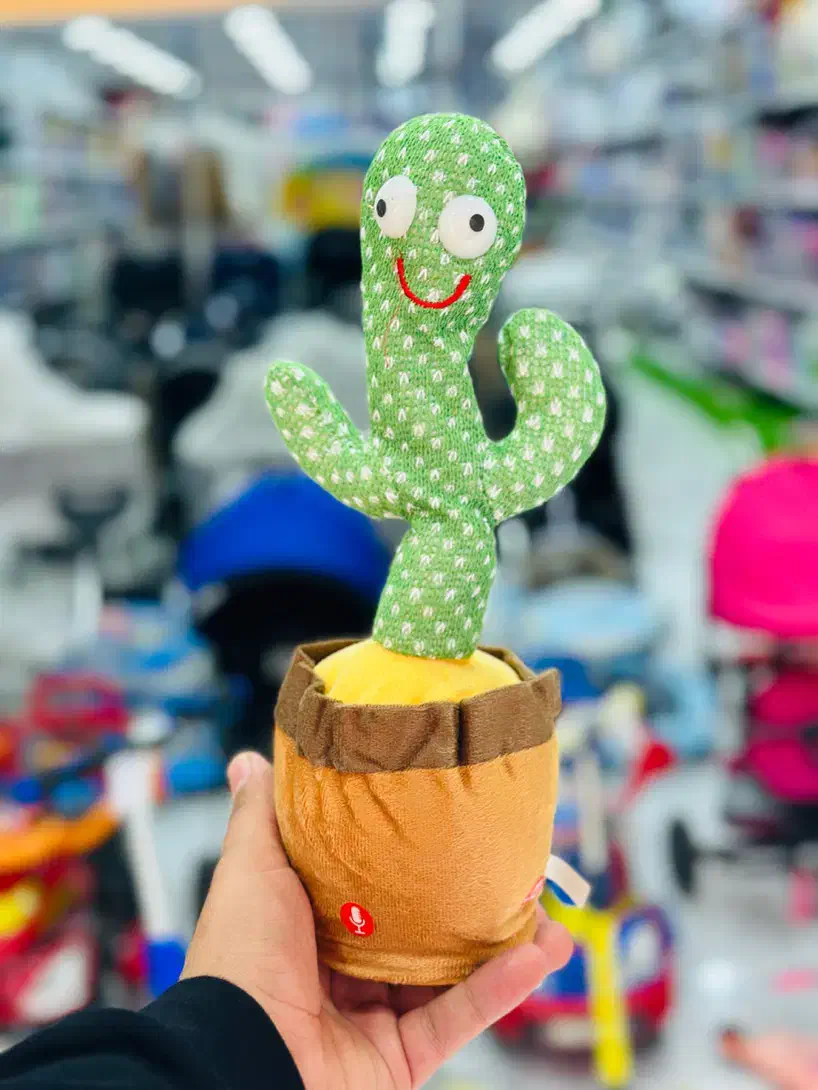 کاکتوس|اسباب‌‌بازی|آفتاب, |دیوار