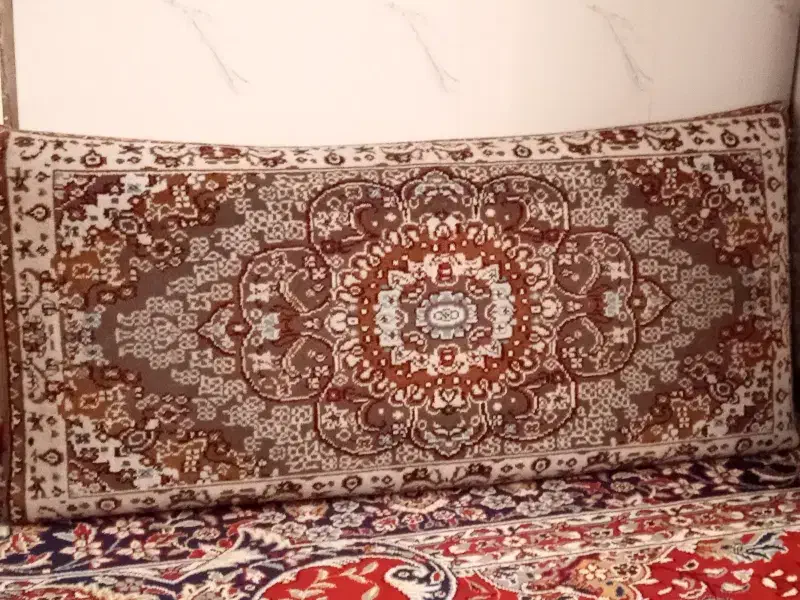 پشتی سالم|پشتی|مشهد, رضاییه|دیوار