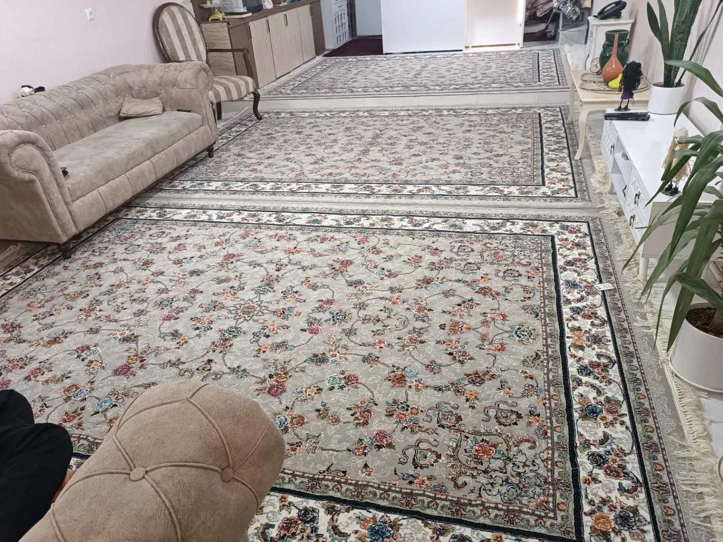 ۳ عدد فرش ۹ متری ۷۰۰شانه /مبل چستر ۸نفره|فرش|تربت‌حیدریه, شهرک ولیعصر|دیوار