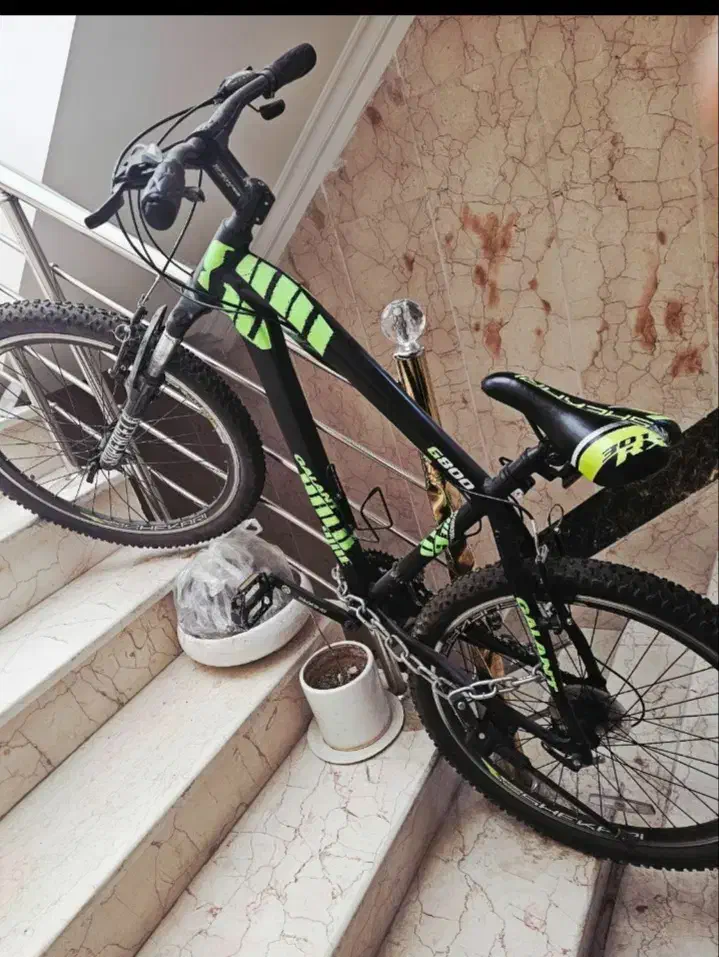 ویوا،کنندل،مریدا،جیانت،گلنت|دوچرخه، اسکیت، اسکوتر|اهواز, پردیس|دیوار