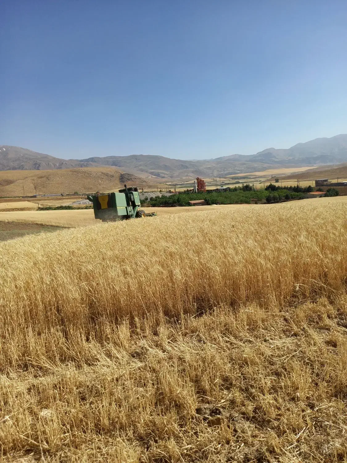 اجاره ۲هکتارونیم زمین کشاورزی دیمزار|اجارهٔ دفتر صنعتی، کشاورزی، تجاری|دورود, |دیوار