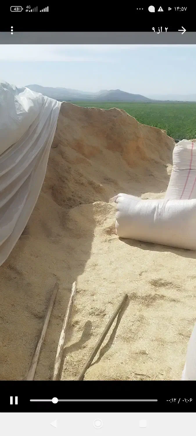 کاه کمباینی کرمانشاه|عمده‌فروشی|مشهد, انقلاب|دیوار