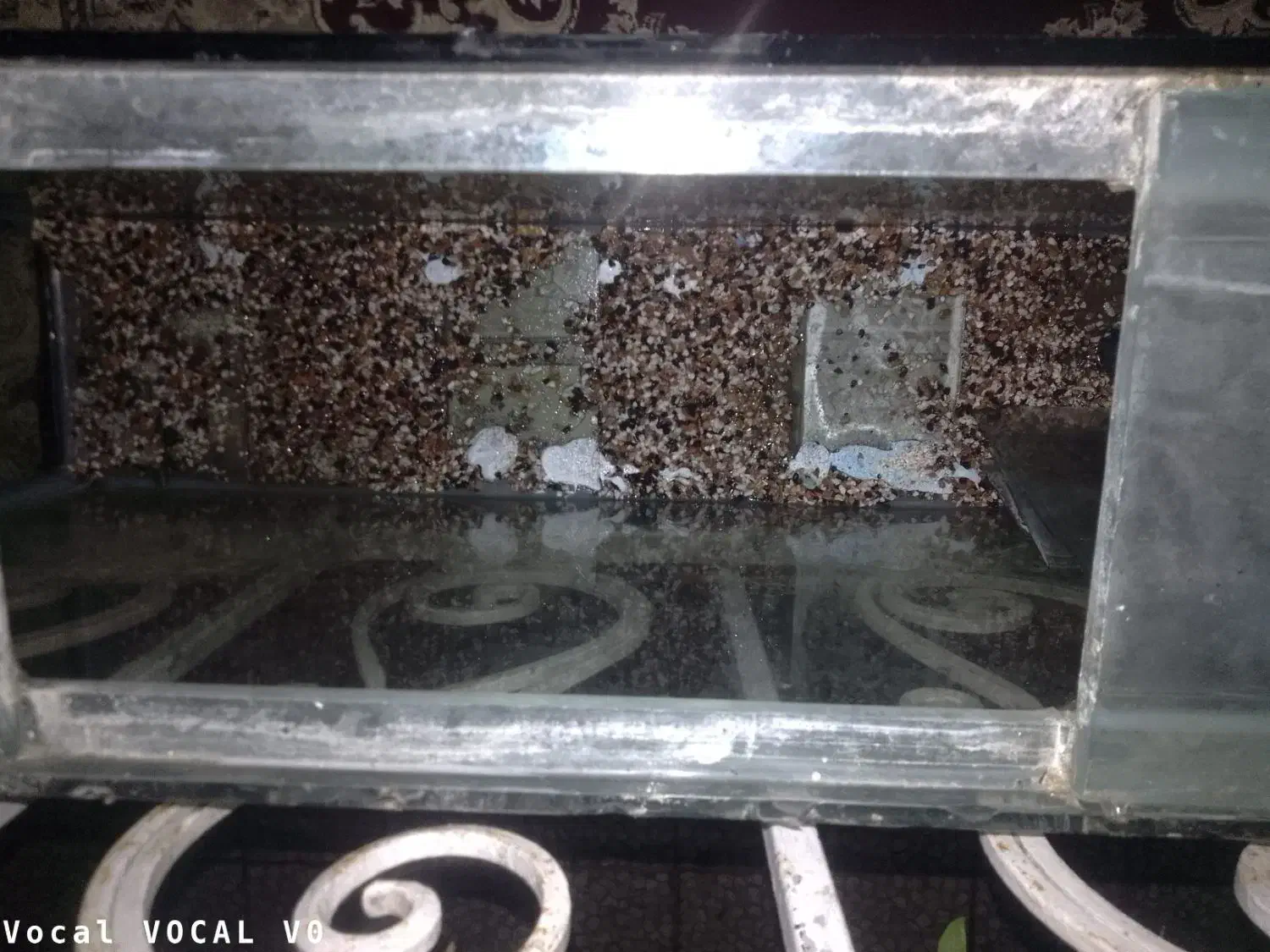 اکواریوم|ماهی|رشت, پل تالشان|دیوار