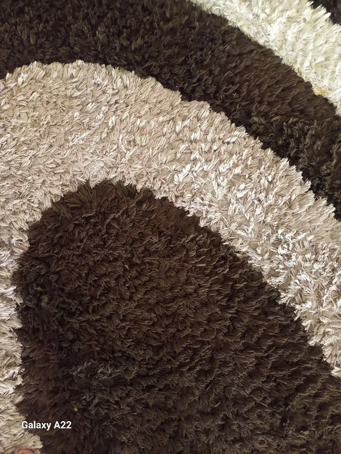 ۴متری|فرش|کرج, شاهین‌ویلا|دیوار