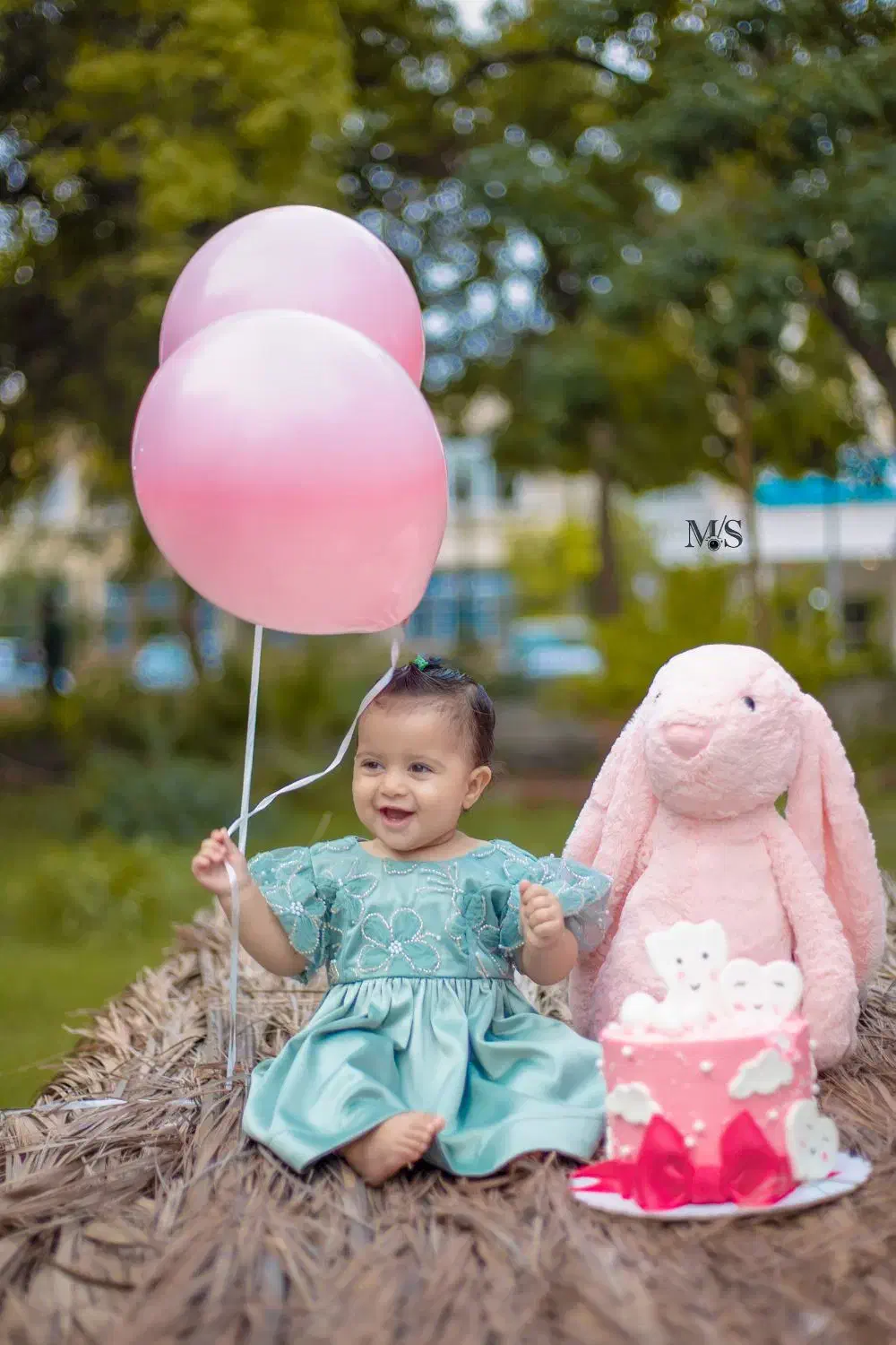 عکاسی|خدمات پذیرایی، مراسم|میناب, |دیوار