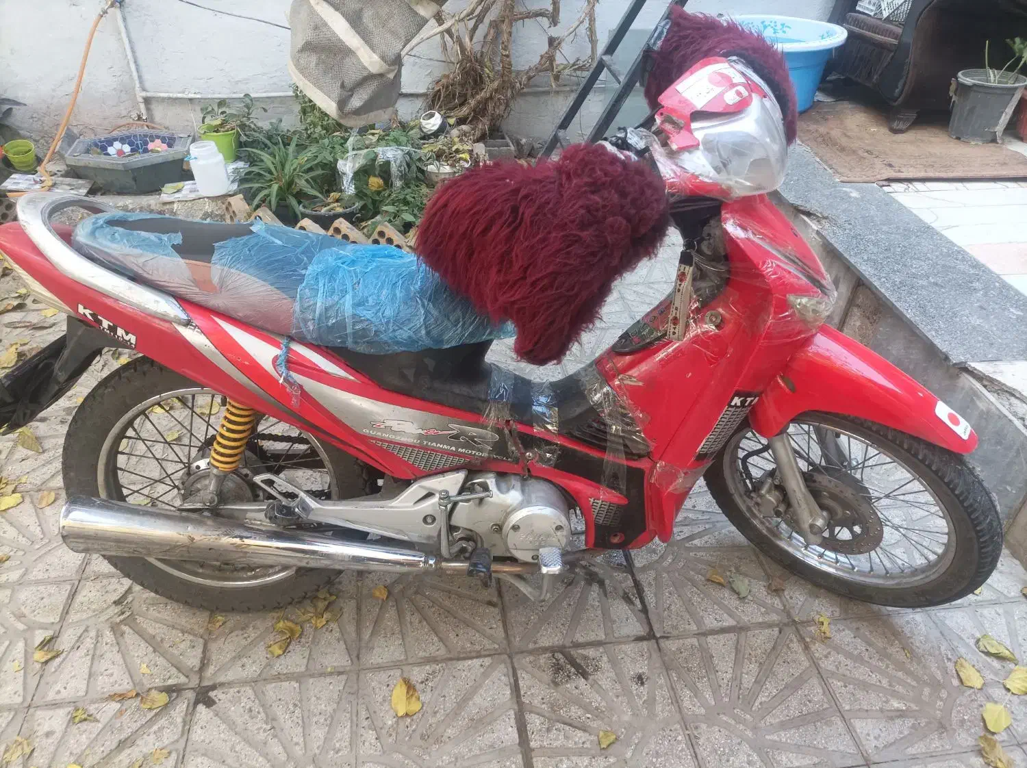 موتور طرح ویو مزایده ای|موتورسیکلت|بومهن, |دیوار