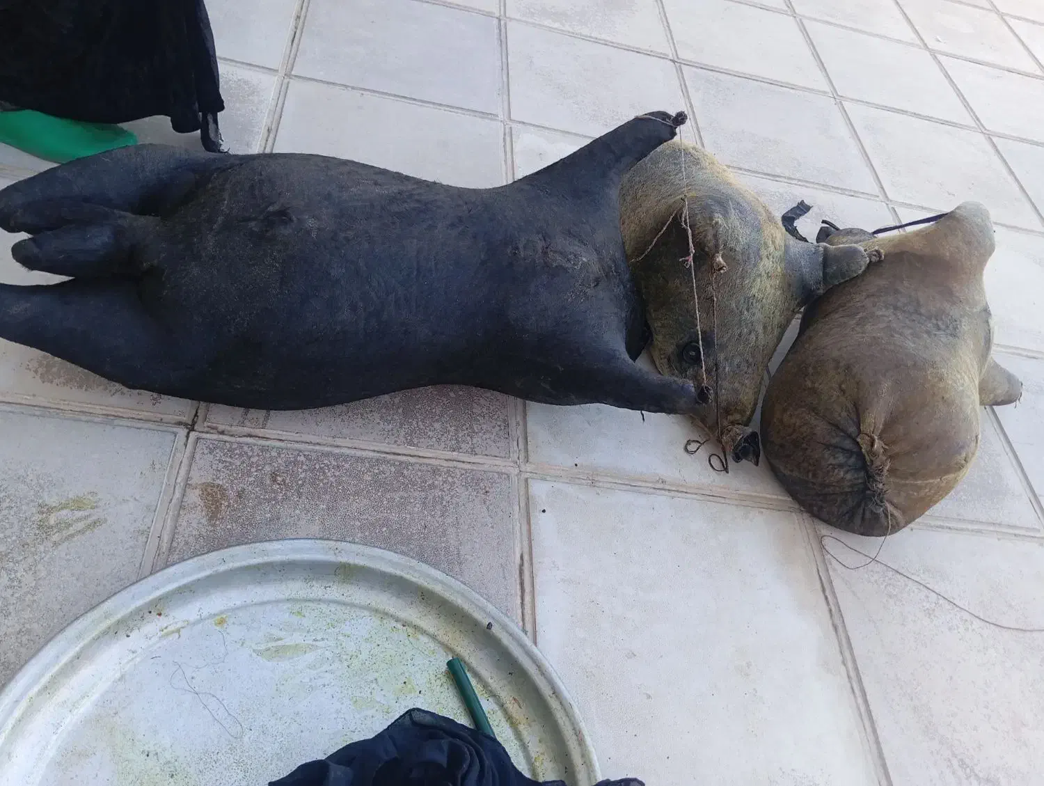 هیزه|ظروف نگهدارنده، پلاستیکی، یک‌بارمصرف|کوهدشت, |دیوار