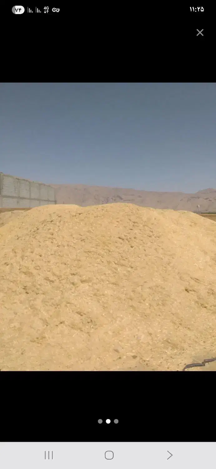 کاه باقلا و کاه سفید|خدمات باغبانی و درختکاری|نورآباد ممسنی, |دیوار