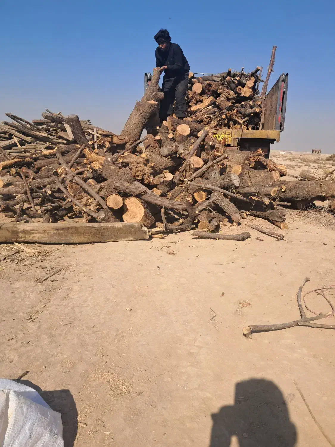 چوب بادام مخصوص ذغال|عمدهفروشی|ورامین, شهرک فجر|دیوار