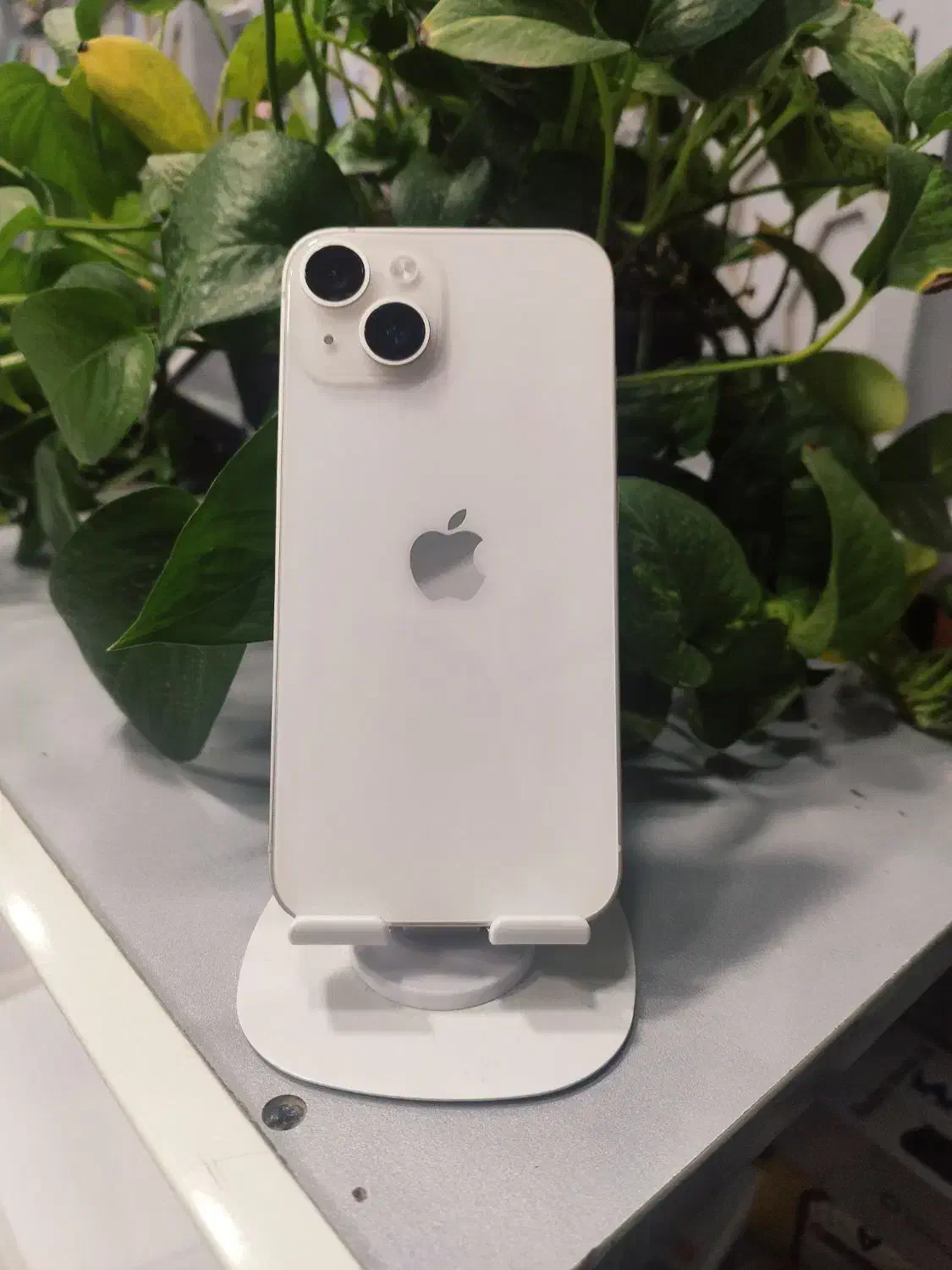 آیفون ۱۴نرمال|موبایل|زابل, |دیوار